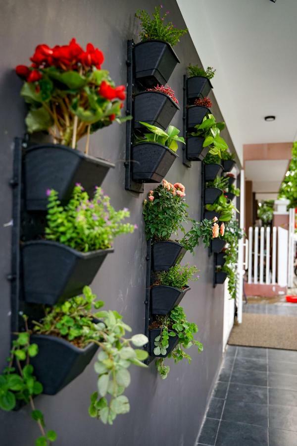 Local White House - Ecofriendly Homestay Дананг Екстериор снимка